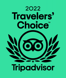 Trip Advisor Travelers Choice Award 2022 Logo for Danyasa